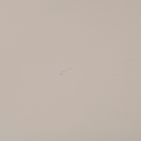 Louis Vuitton Epi Alma BB 2WAY Quartz Epi Leather Handbag - Picture 10 of 15